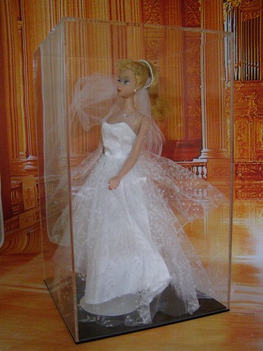 Acrylic display case for - case,